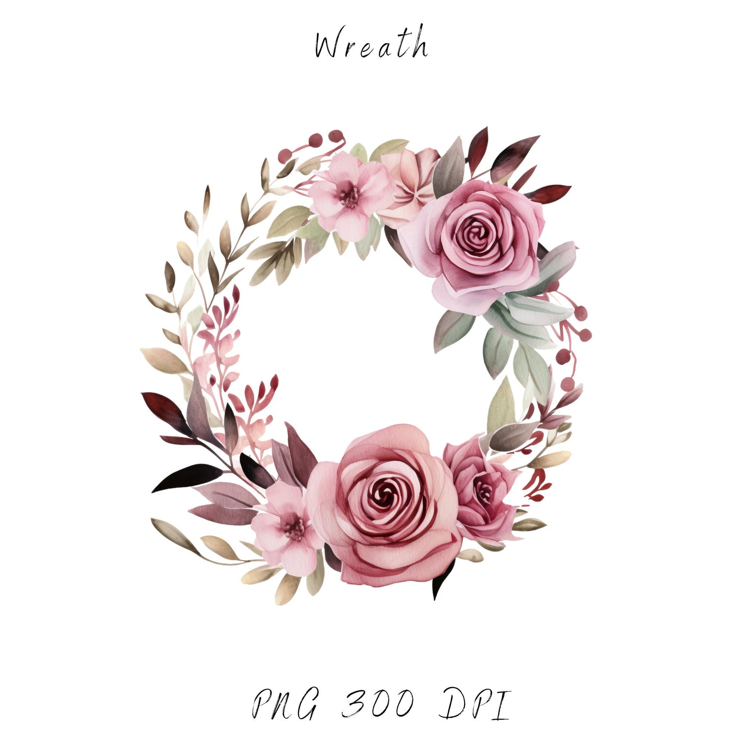 Pink Dusty Rose Clipart