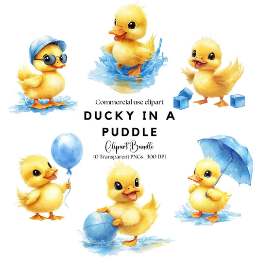 Duck in a puddle clipart