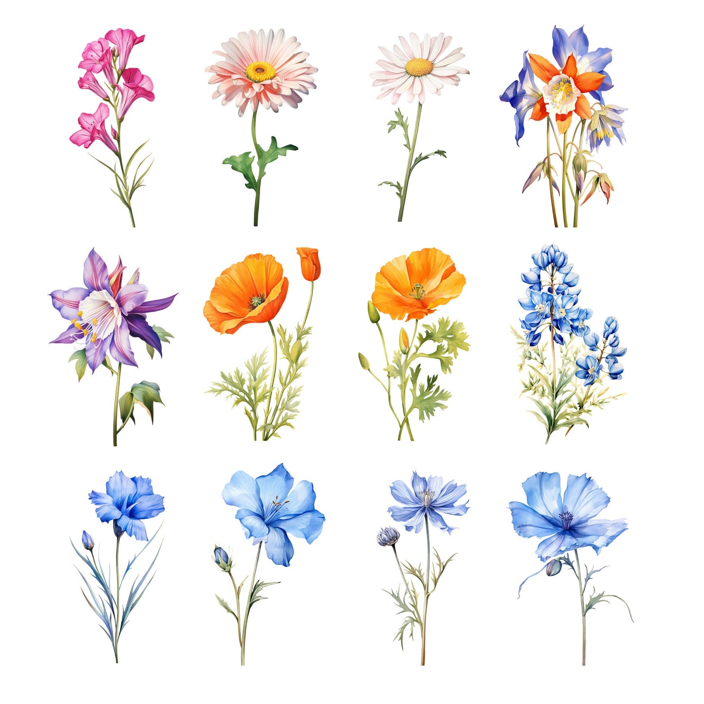Watercolor Wild Flower Clipart