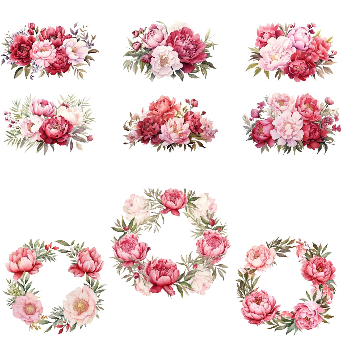 Clipart de peonía roja, blanca y ruborizada