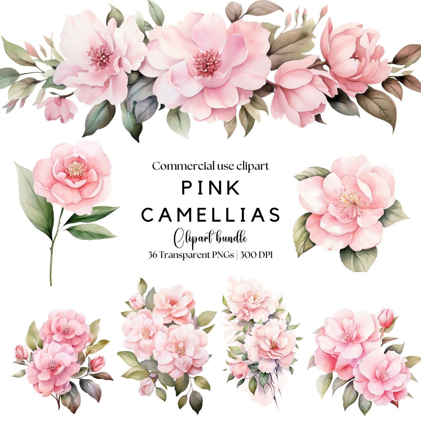 Pink Camellias Floral Clipart