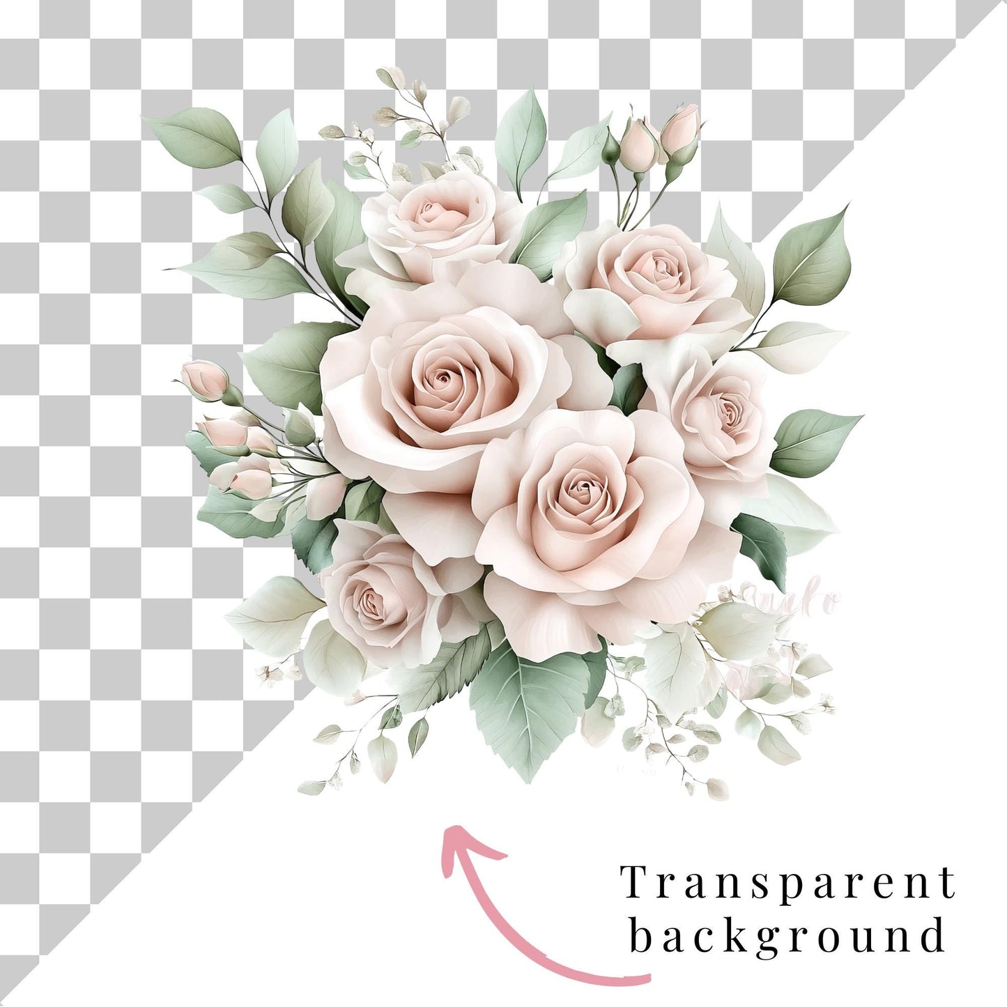 Clipart de rosa y peonía rosa polvorienta