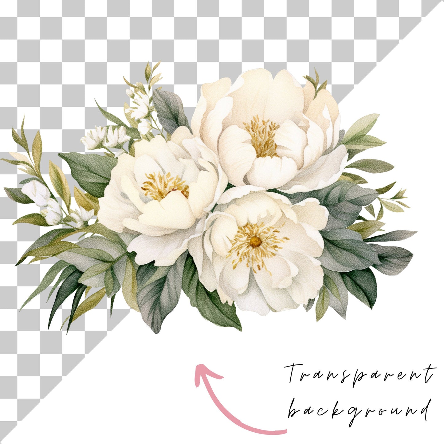 Clipart floral de peonía blanca marfil en acuarela