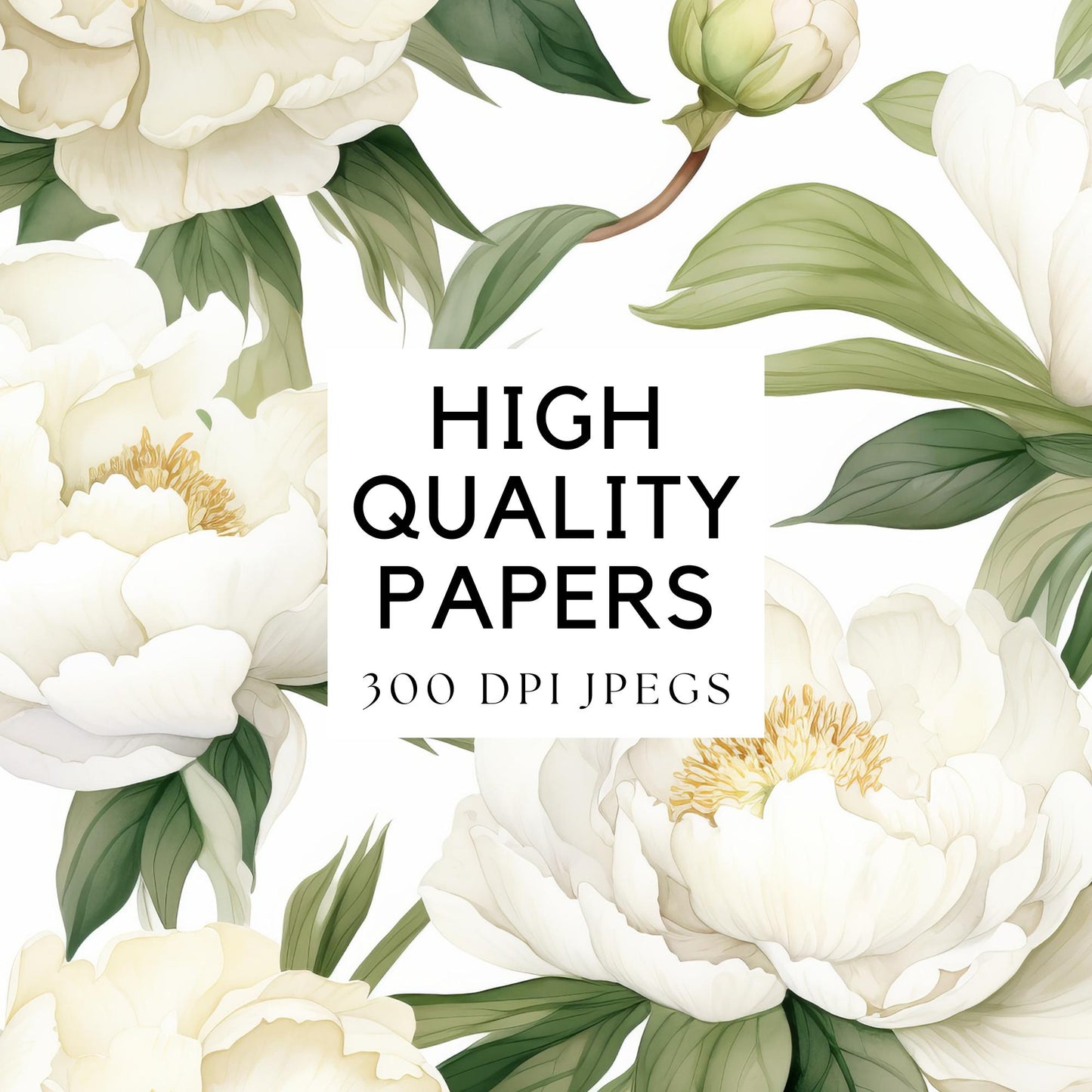 Papeles digitales de peonía blanca en acuarela