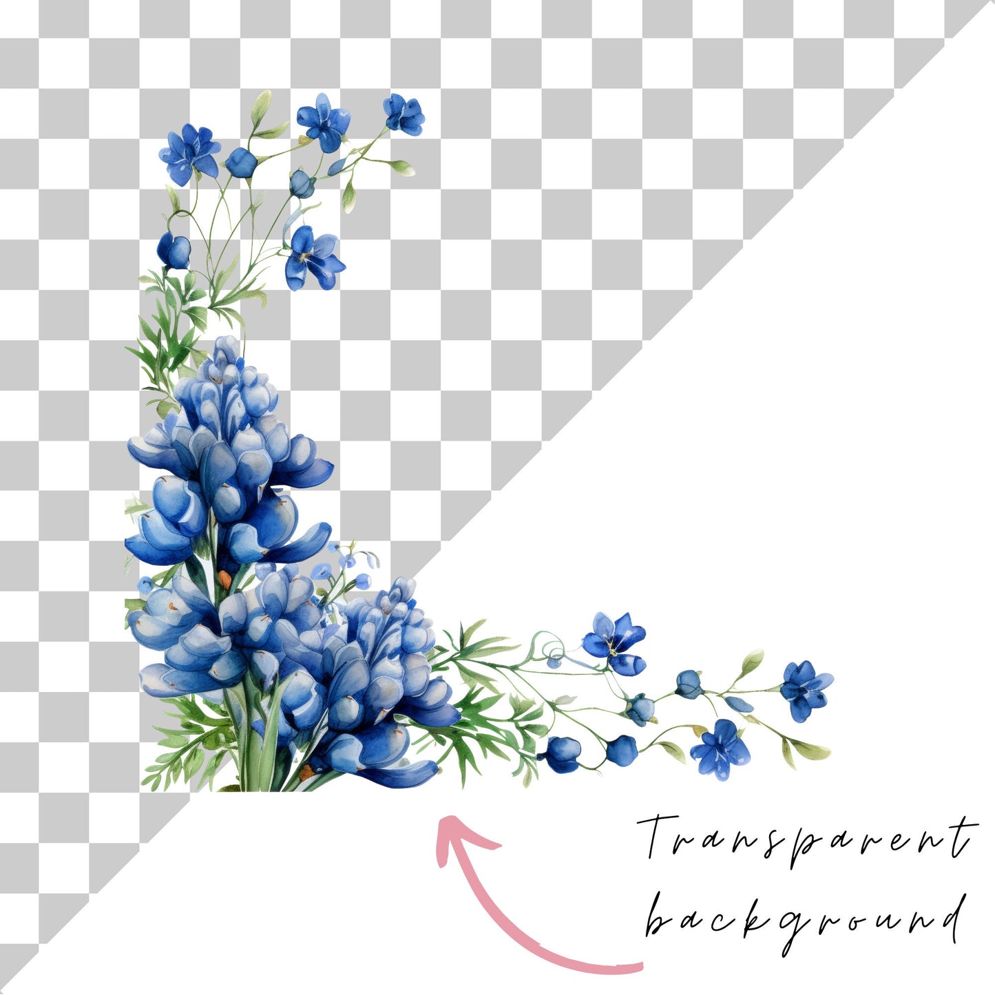 Clipart floral de Texas Bluebonnet en acuarela