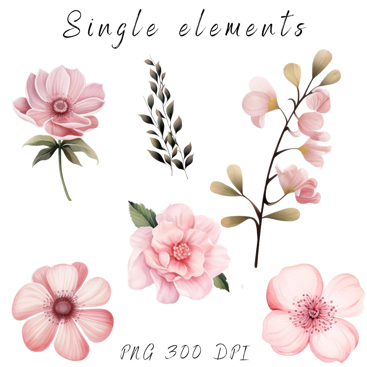 Clipart floral rosa polvoriento