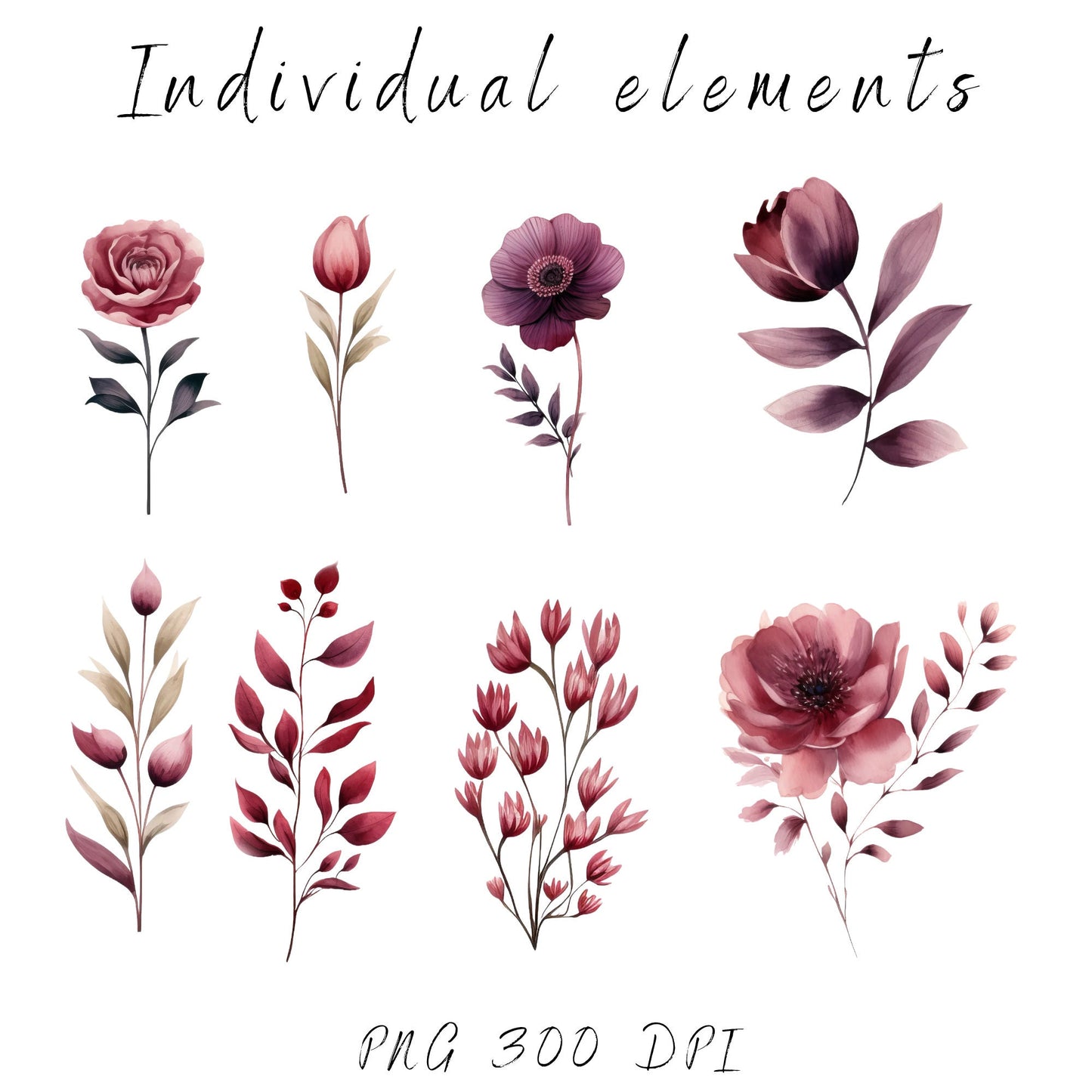 Burgundy and Blush Floral clipart pack