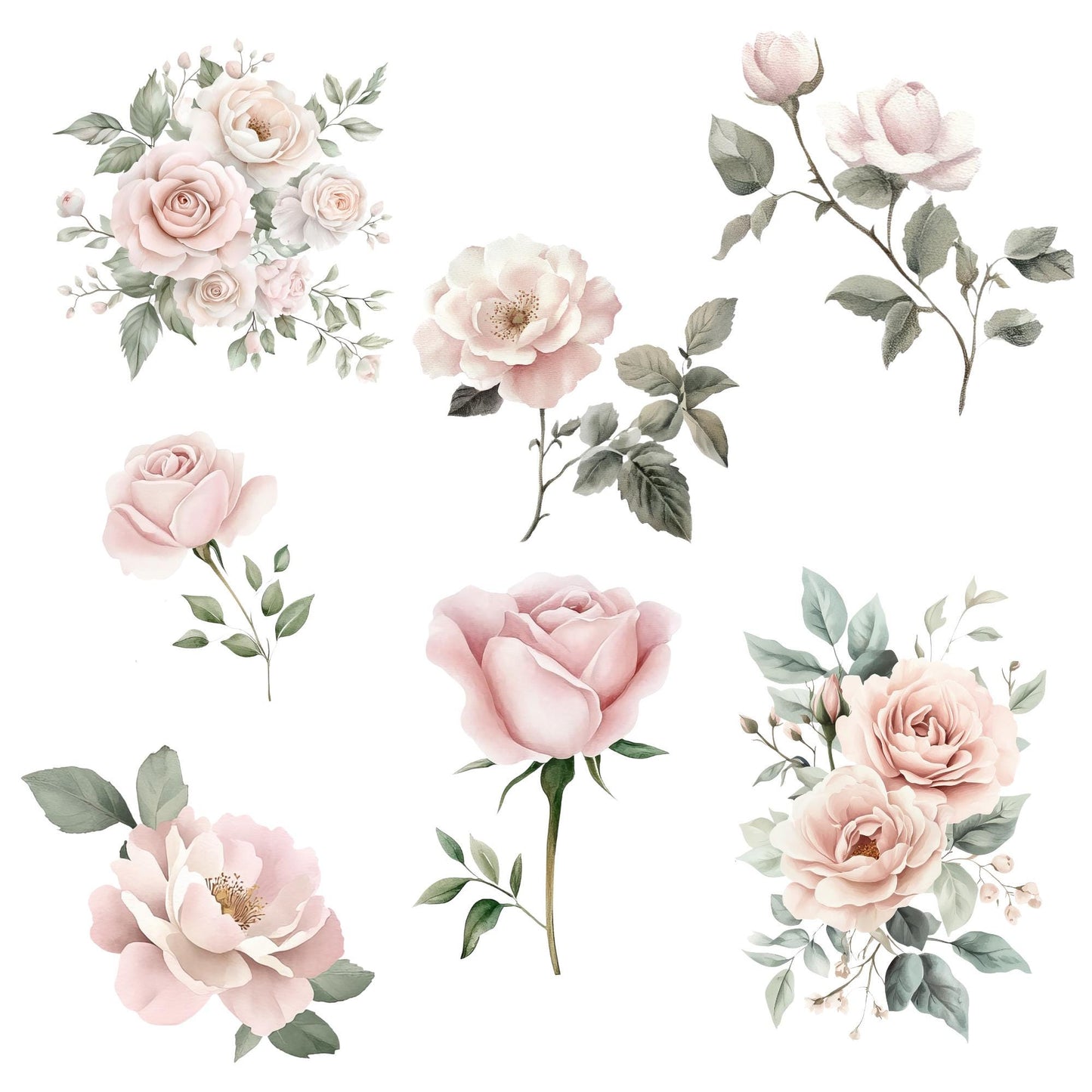 Clipart de rosa y peonía rosa polvorienta