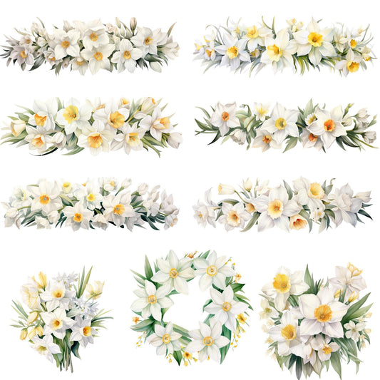 Clipart de narciso blanco