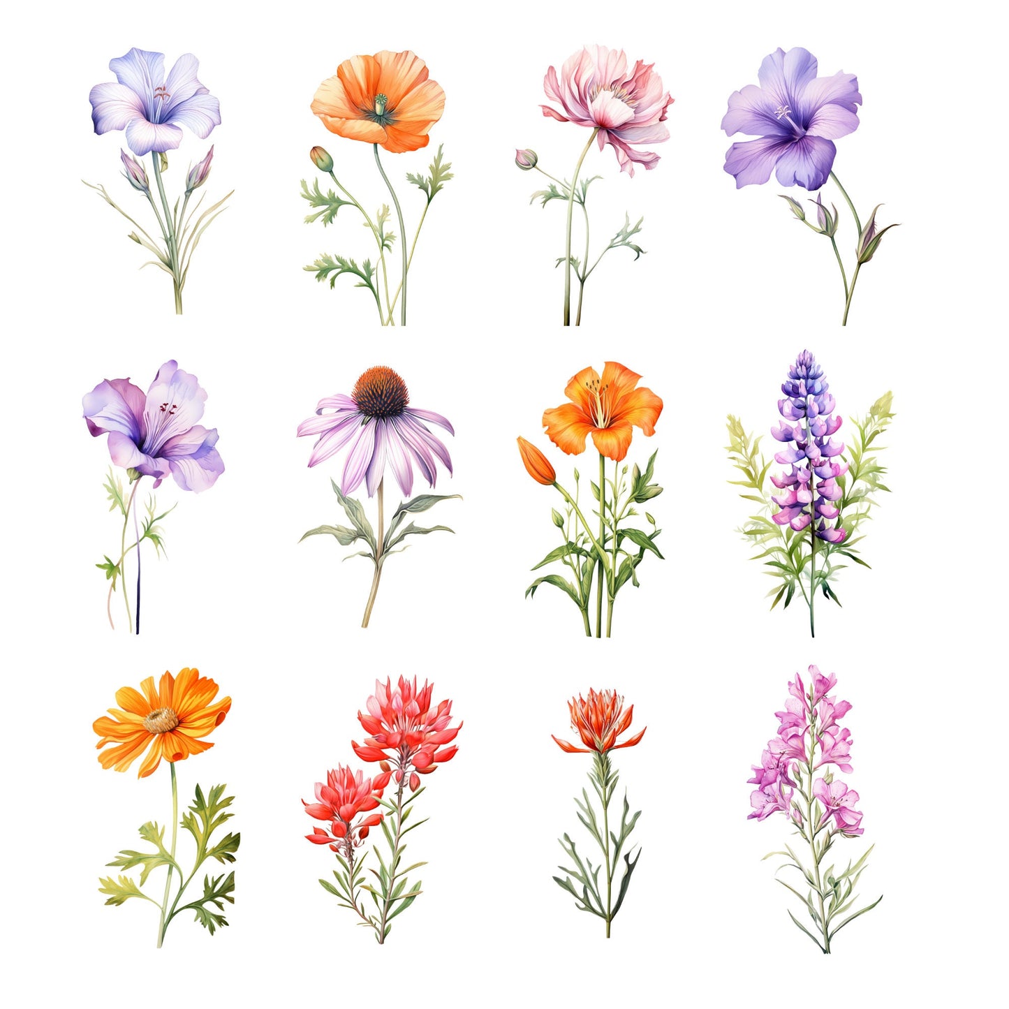 Watercolor Wild Flower Clipart