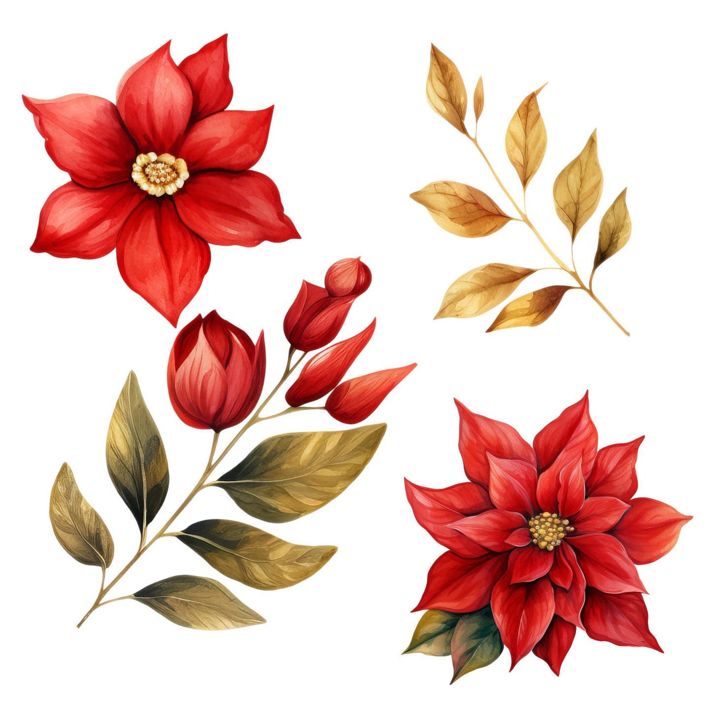 Poinsettia and Gold Floral Clipart