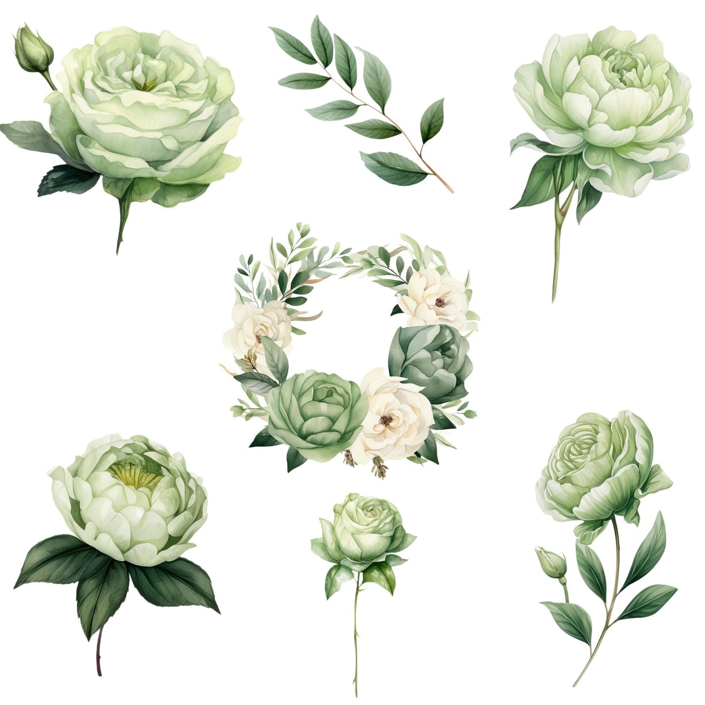 Clipart floral verde salvia