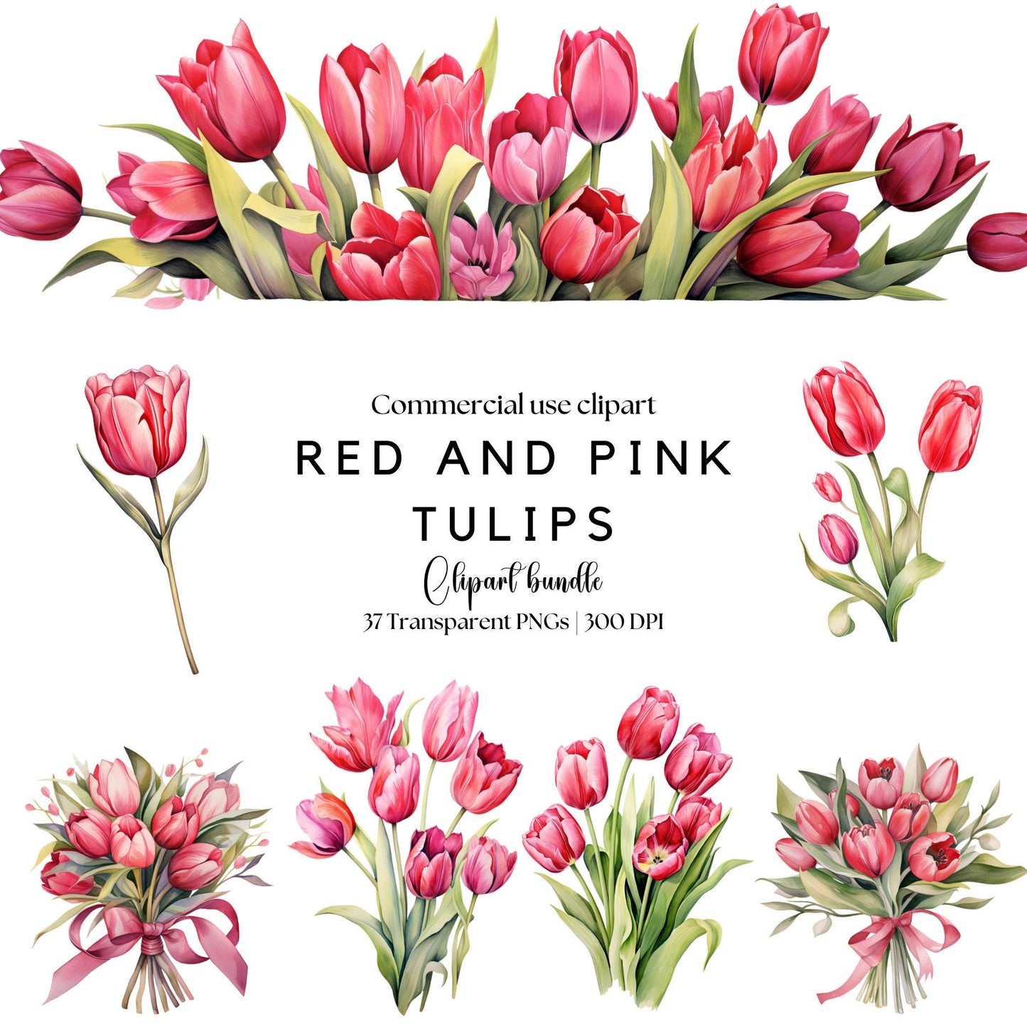 Red and Pink Tulip Clipart
