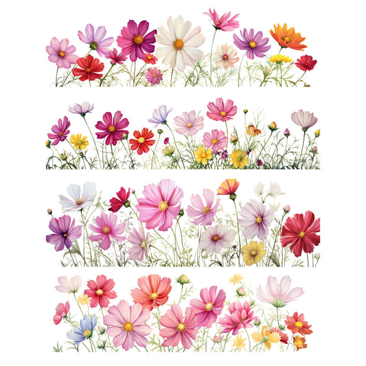 Clipart floral de cosmos en acuarela