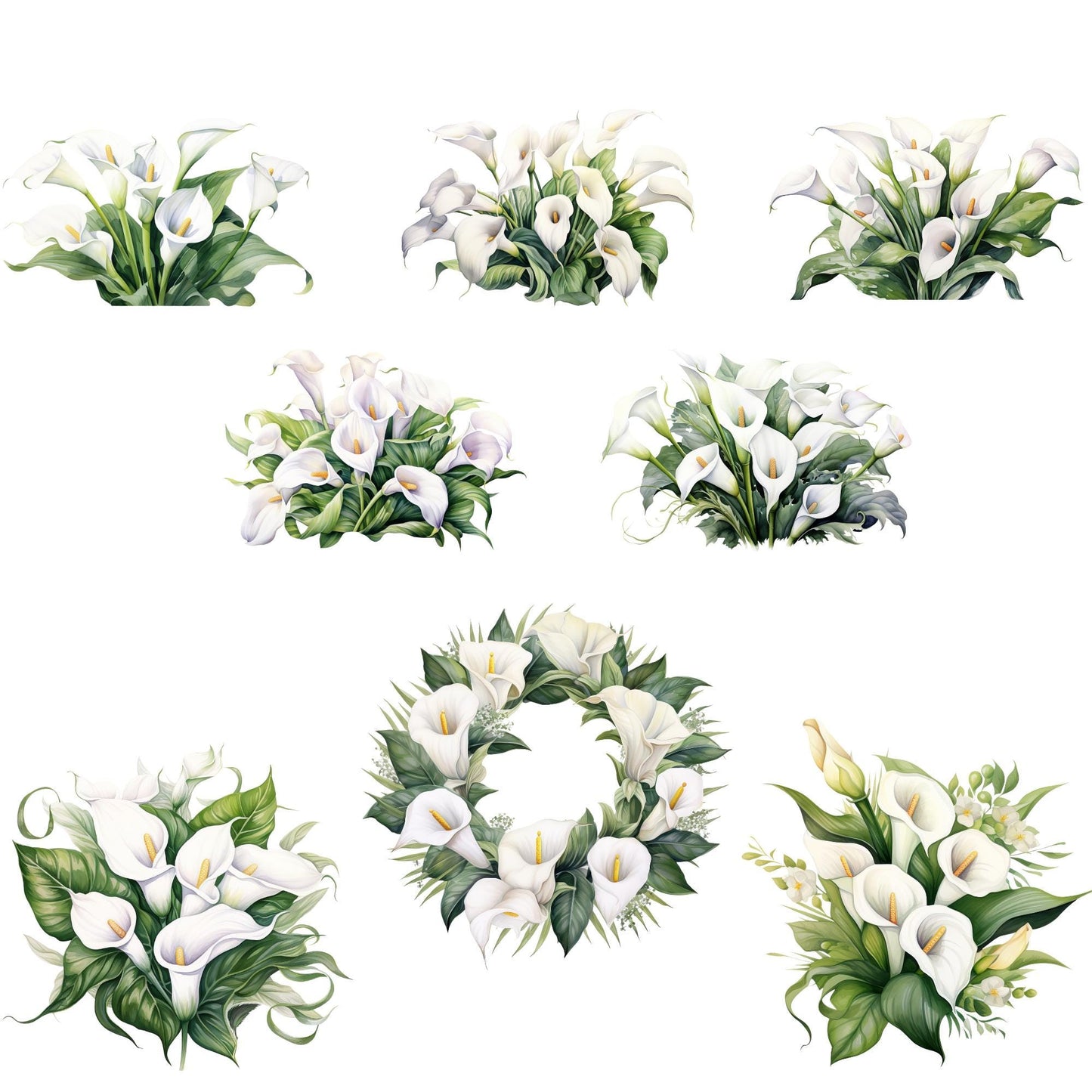 Clipart de lirio de cala blanco en acuarela