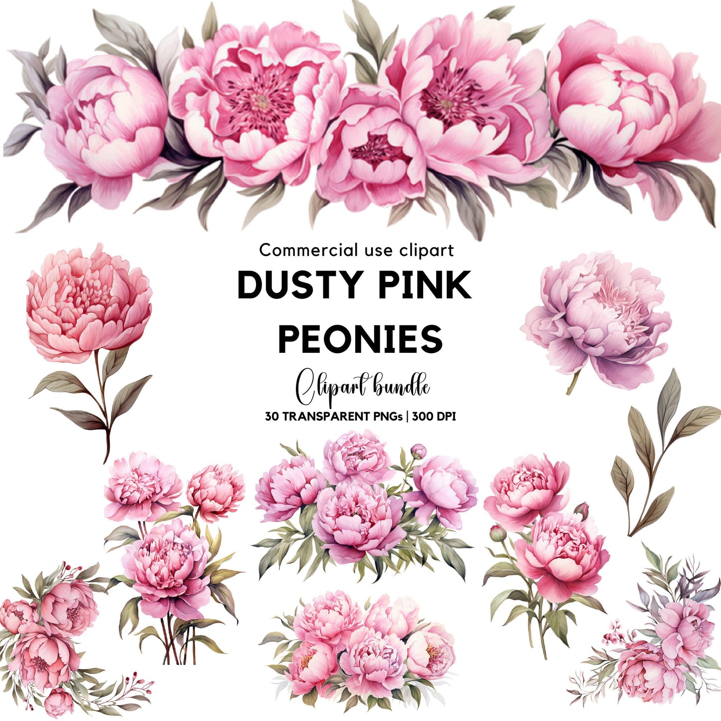 Watercolor Dusty Pink Peony Clipart