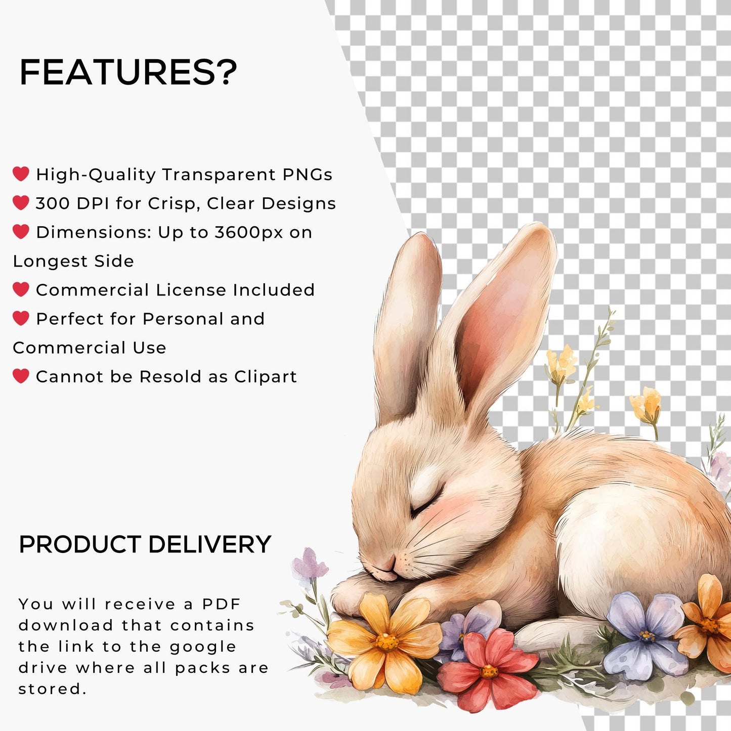 Easter Bunny Clipart