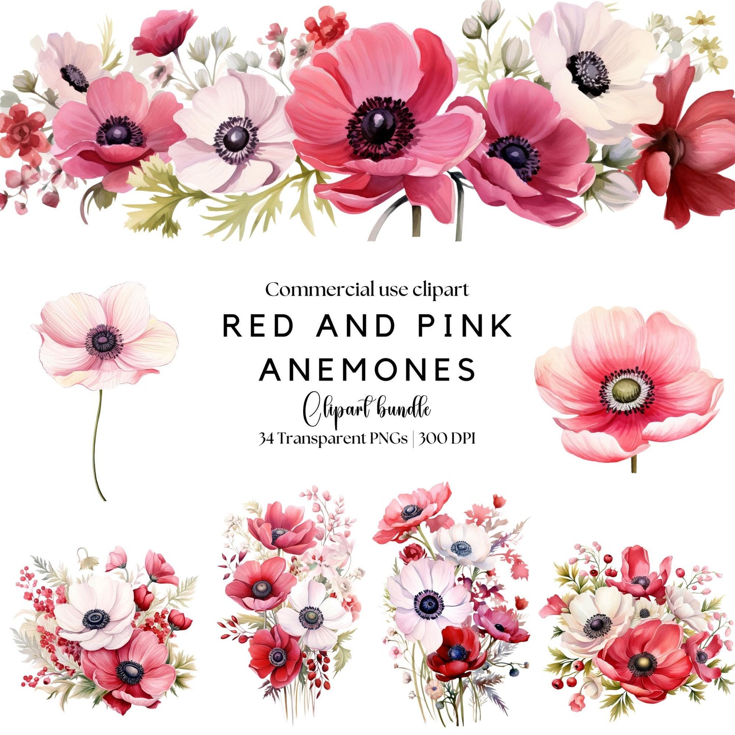 Clipart de anémona roja y rosa