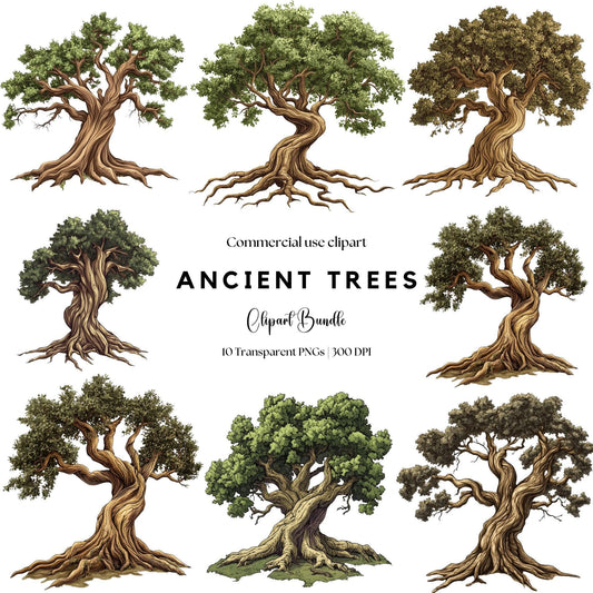 Tree With Roots Clipart
