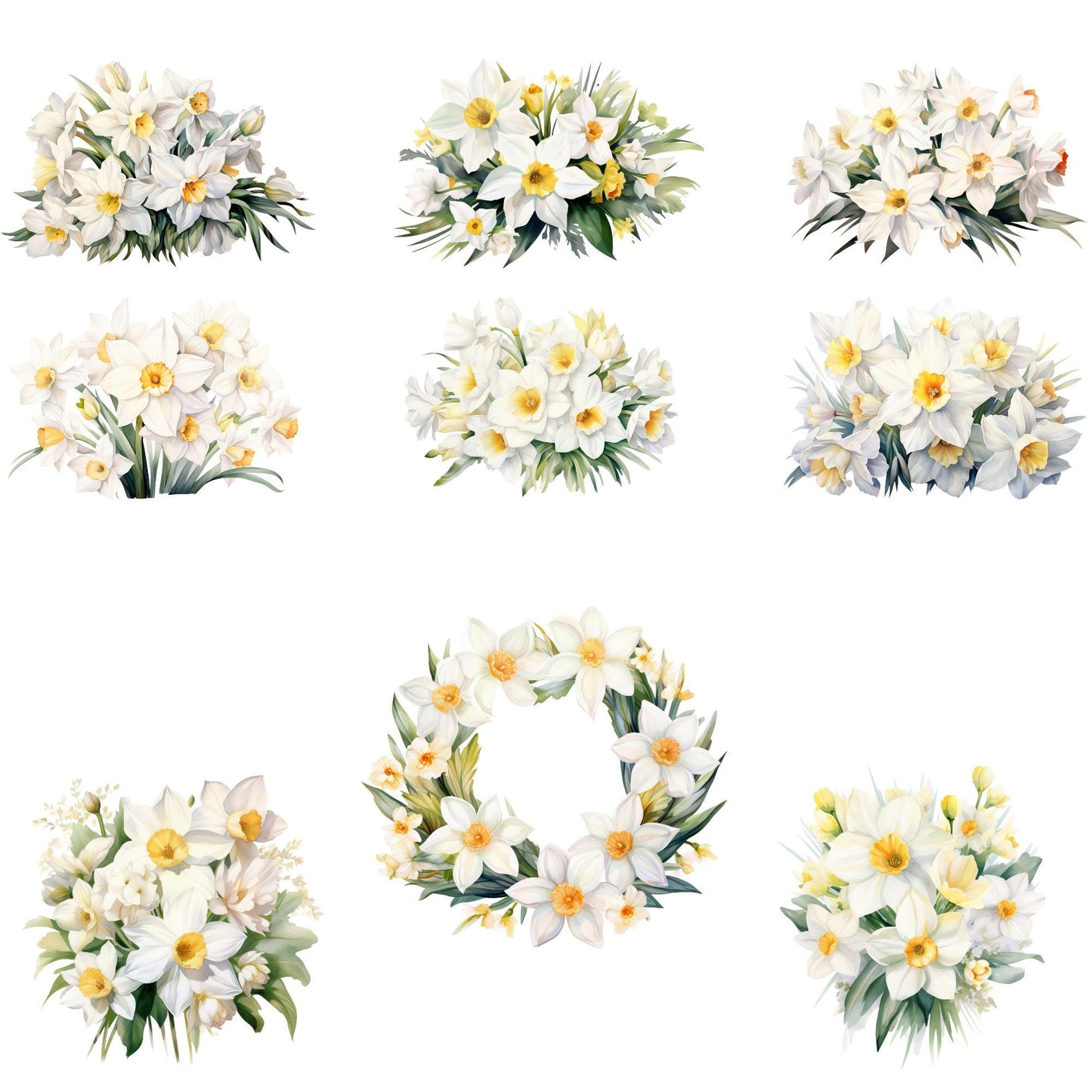 Clipart de narciso blanco