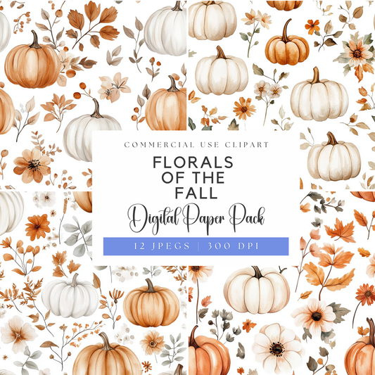 a white background with orange and white pumpkins and flowers