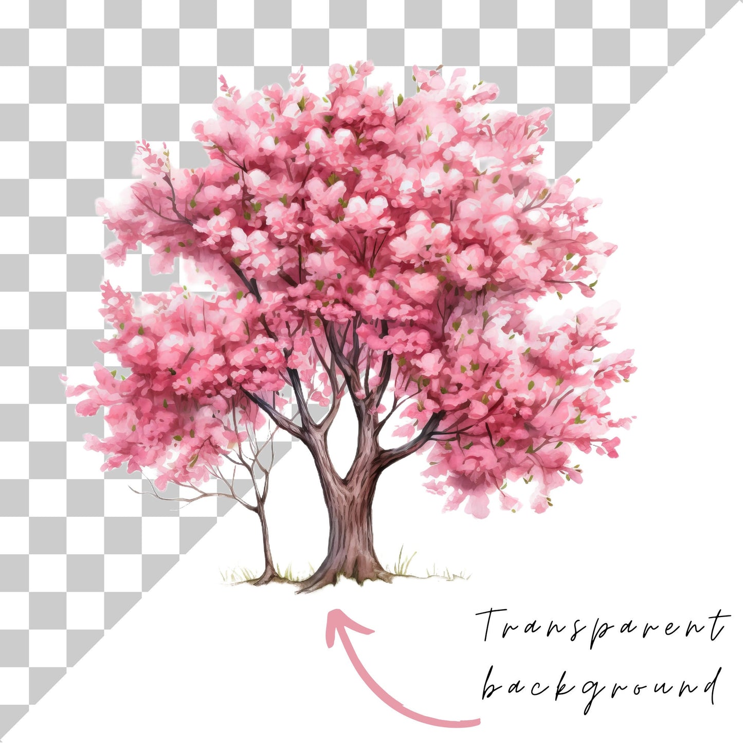 Watercolor Cherry Blossom tree clipart