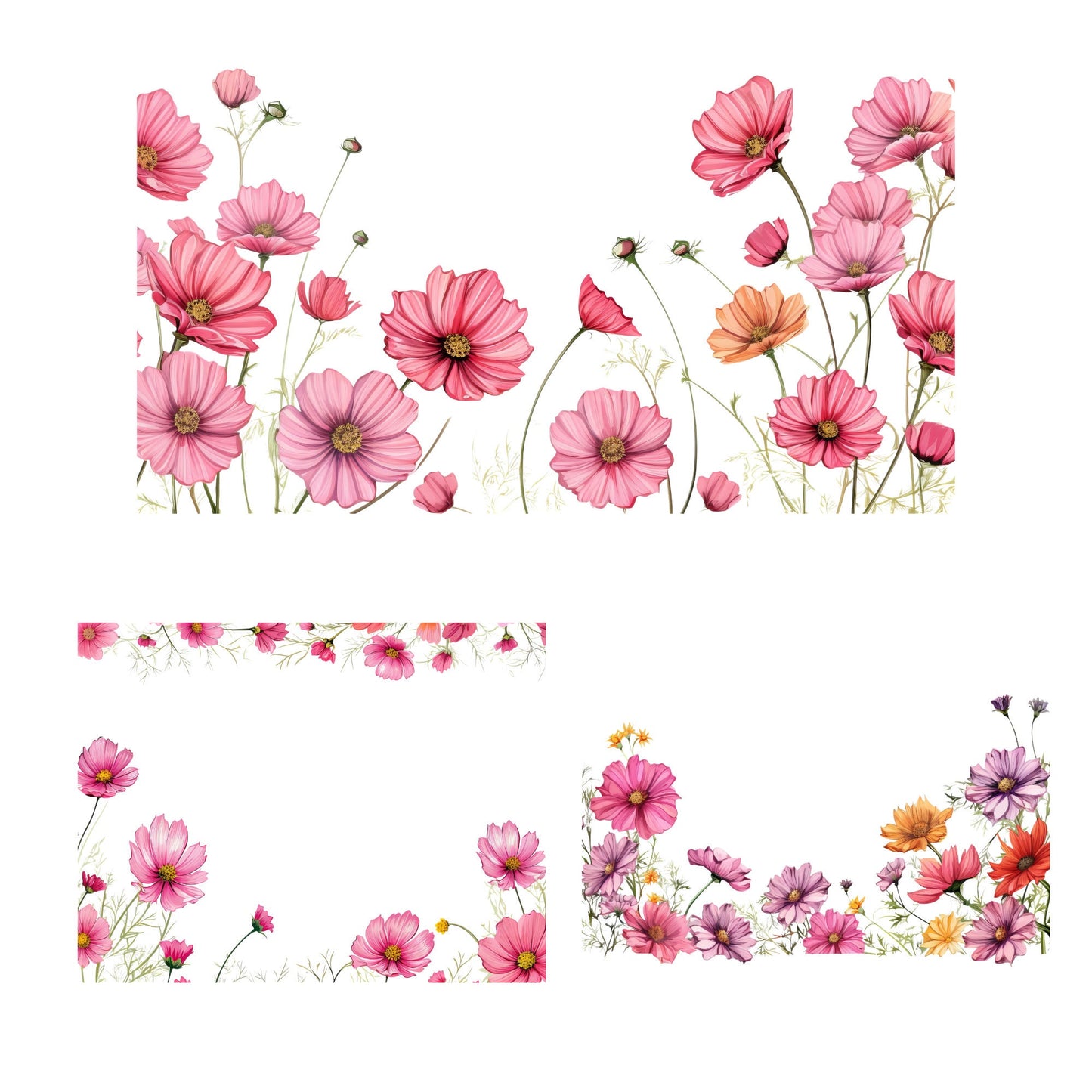 Clipart floral de cosmos en acuarela
