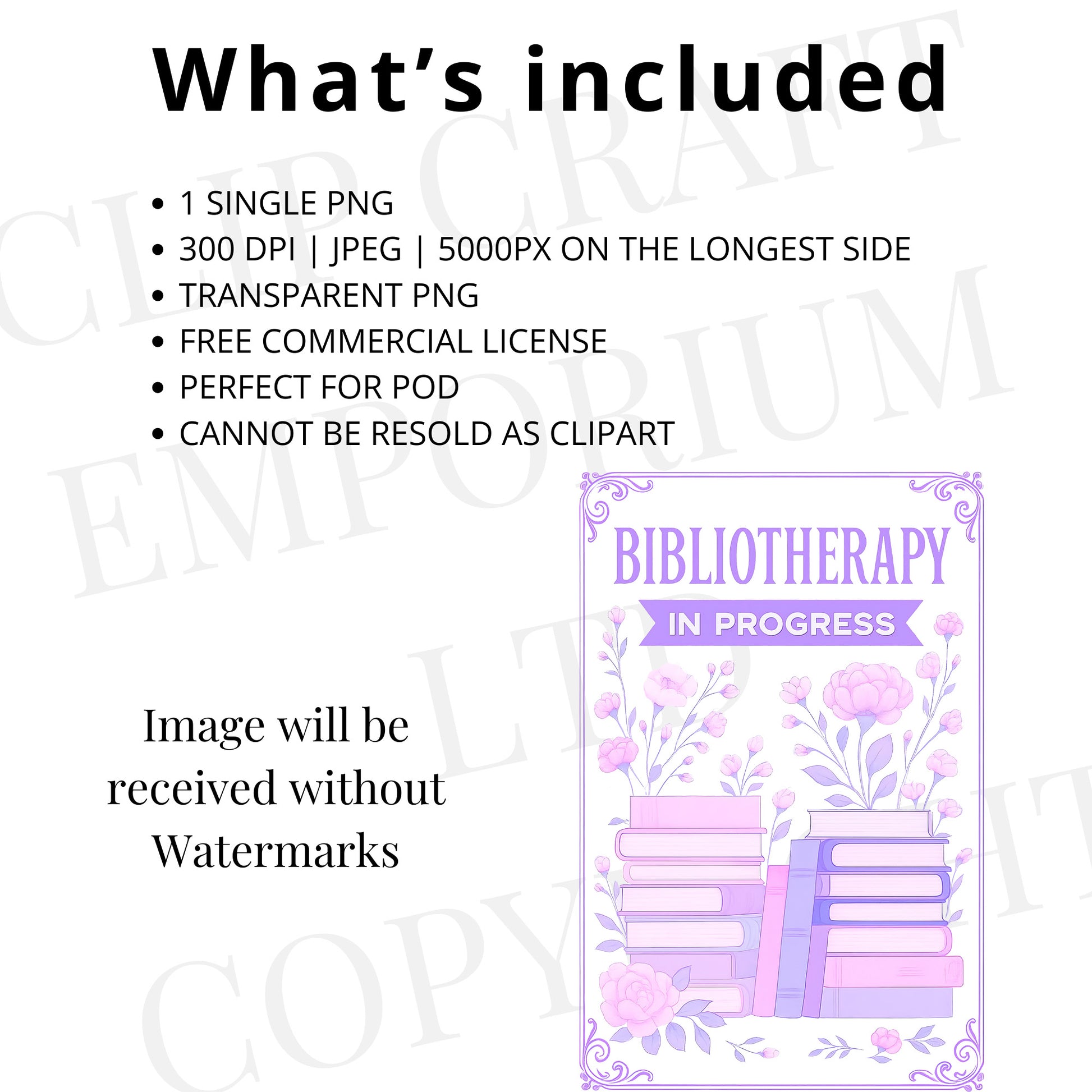 a brochure with the words bibliotary in progress