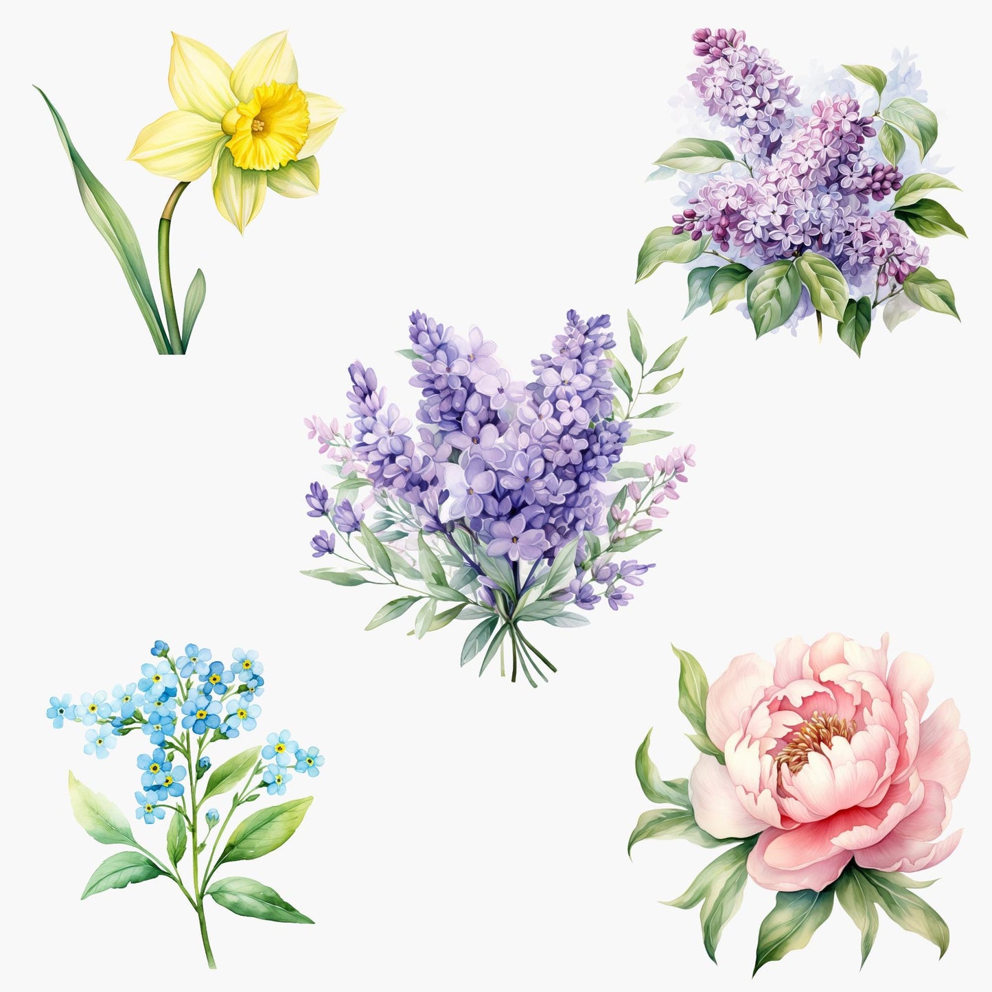 Spring Floral Clipart