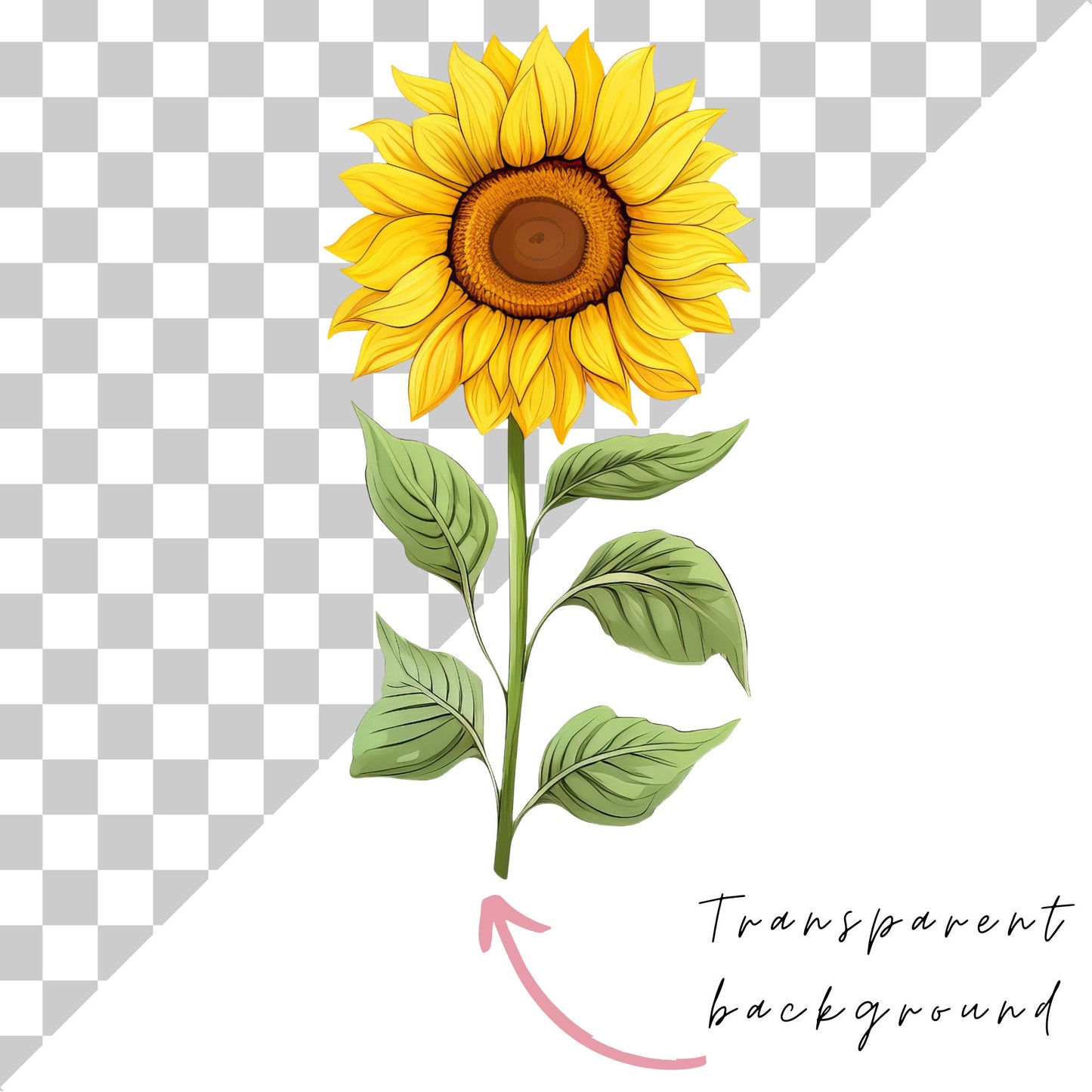 Clipart de girasol en acuarela