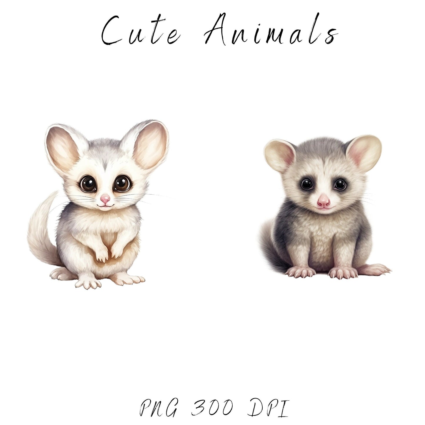 Baby Australian Animals Clipart