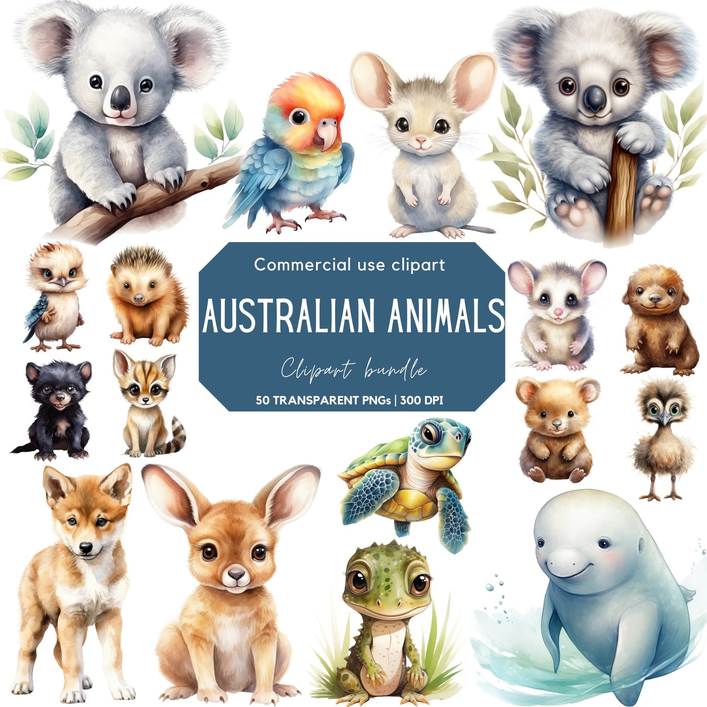 Baby Australian Animals Clipart