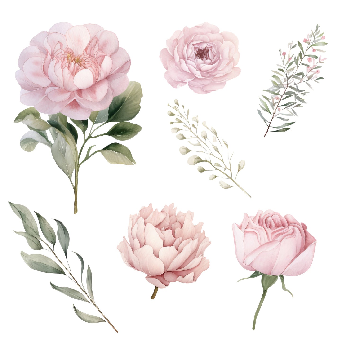 Clipart floral rosa ruborizado