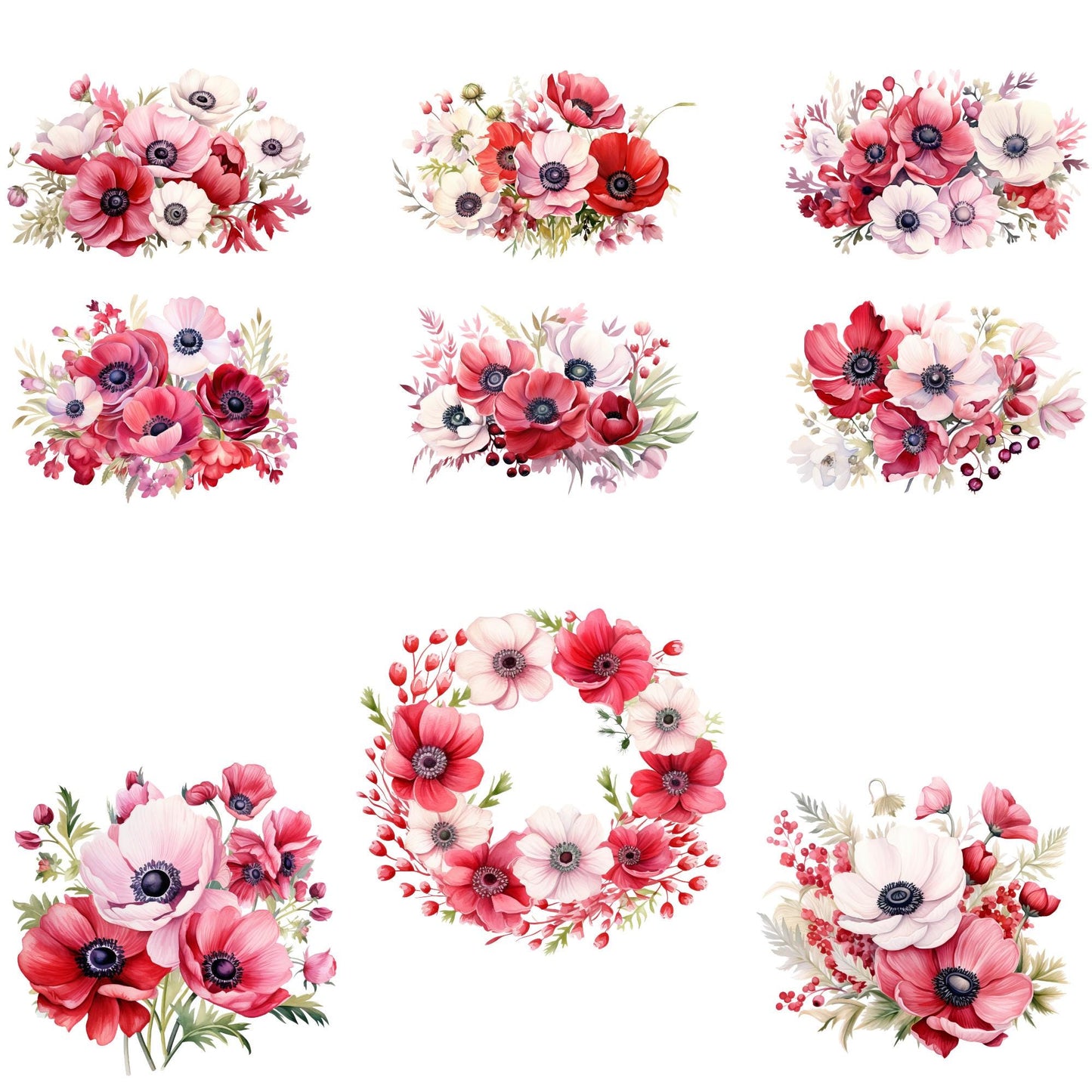 Clipart de anémona roja y rosa