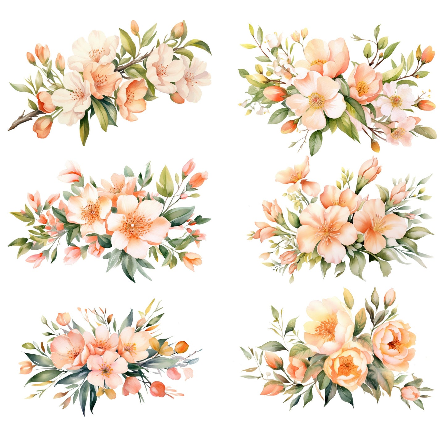 Clipart floral de melocotón en acuarela