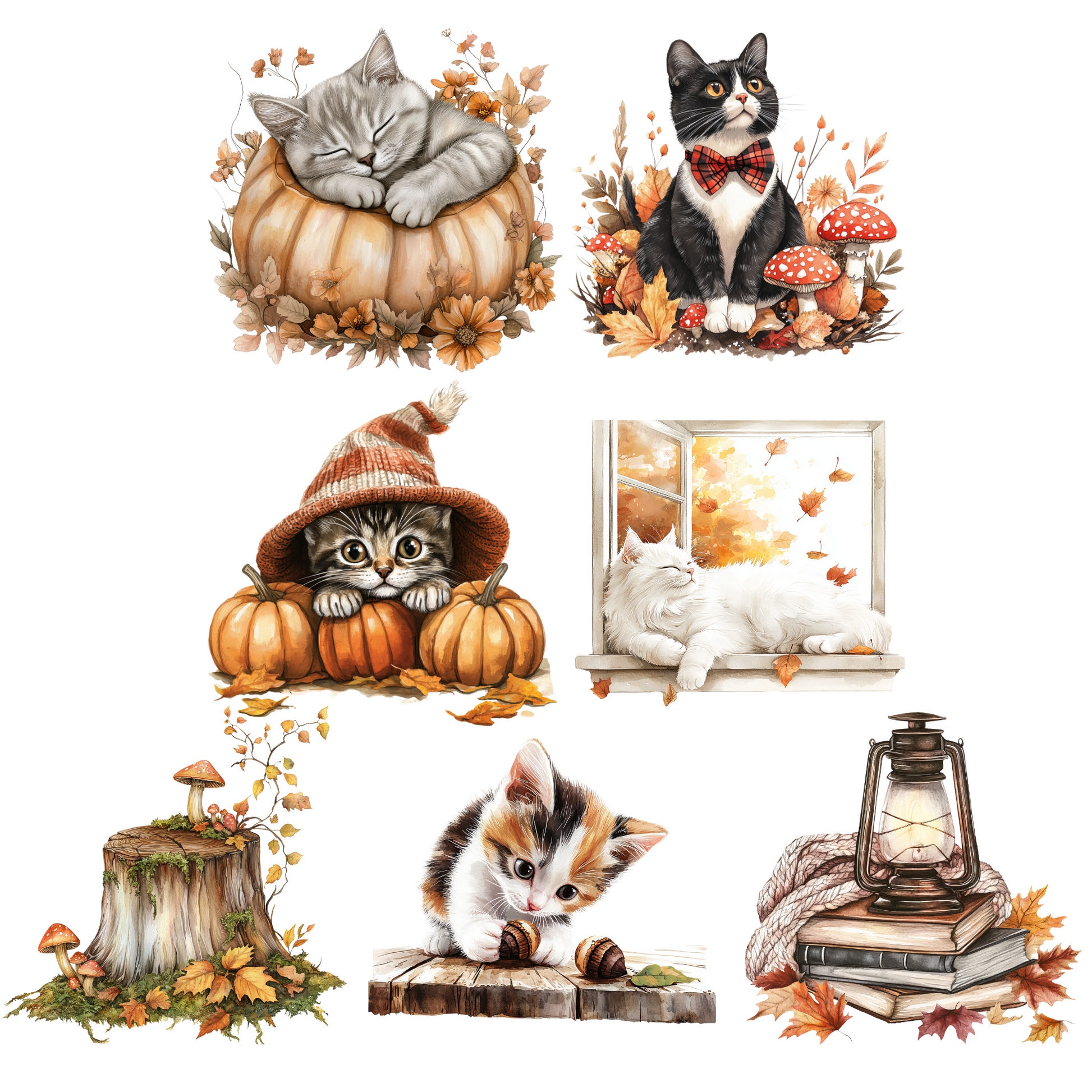 a collection of illustrations featuring cats in various autumn-themed settings, including a sleeping cat in a pumpkin, a cat wearing a hat, a cat sitting on a window sill, a cat with a lantern, a cat with a lantern, and a cat with a lantern.