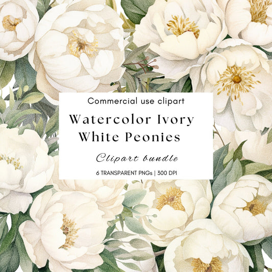 Clipart floral de peonía blanca marfil en acuarela