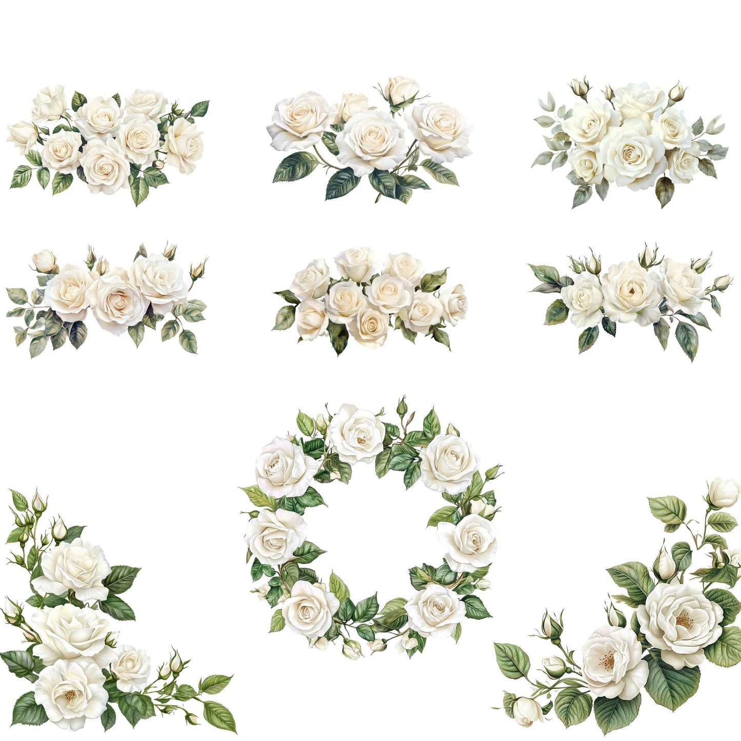 Clipart de rosas blancas marfil en acuarela