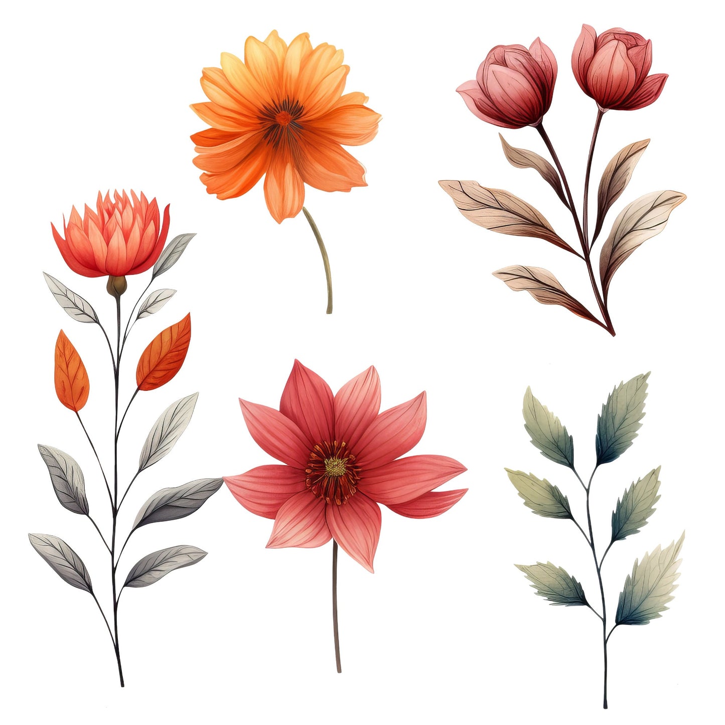 Clipart floral de otoño en acuarela