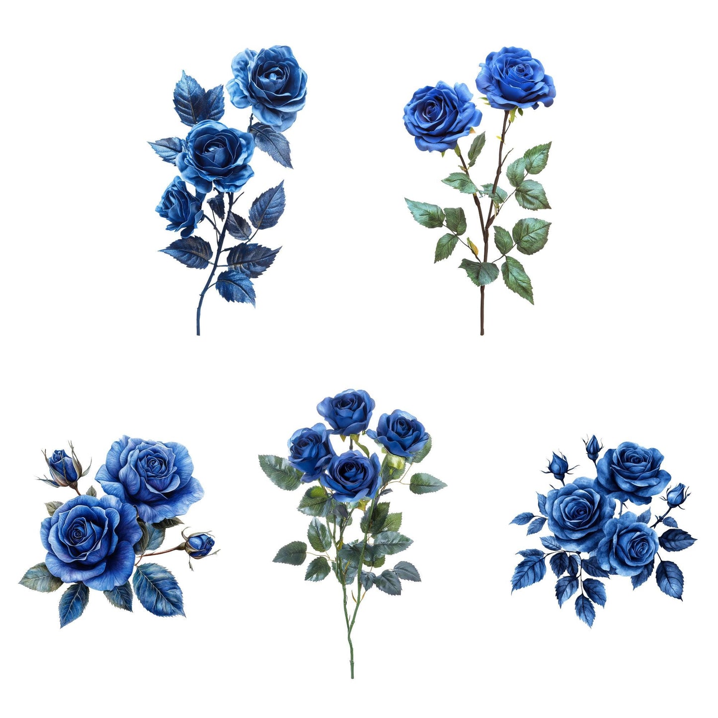 Clipart de rosas azul real
