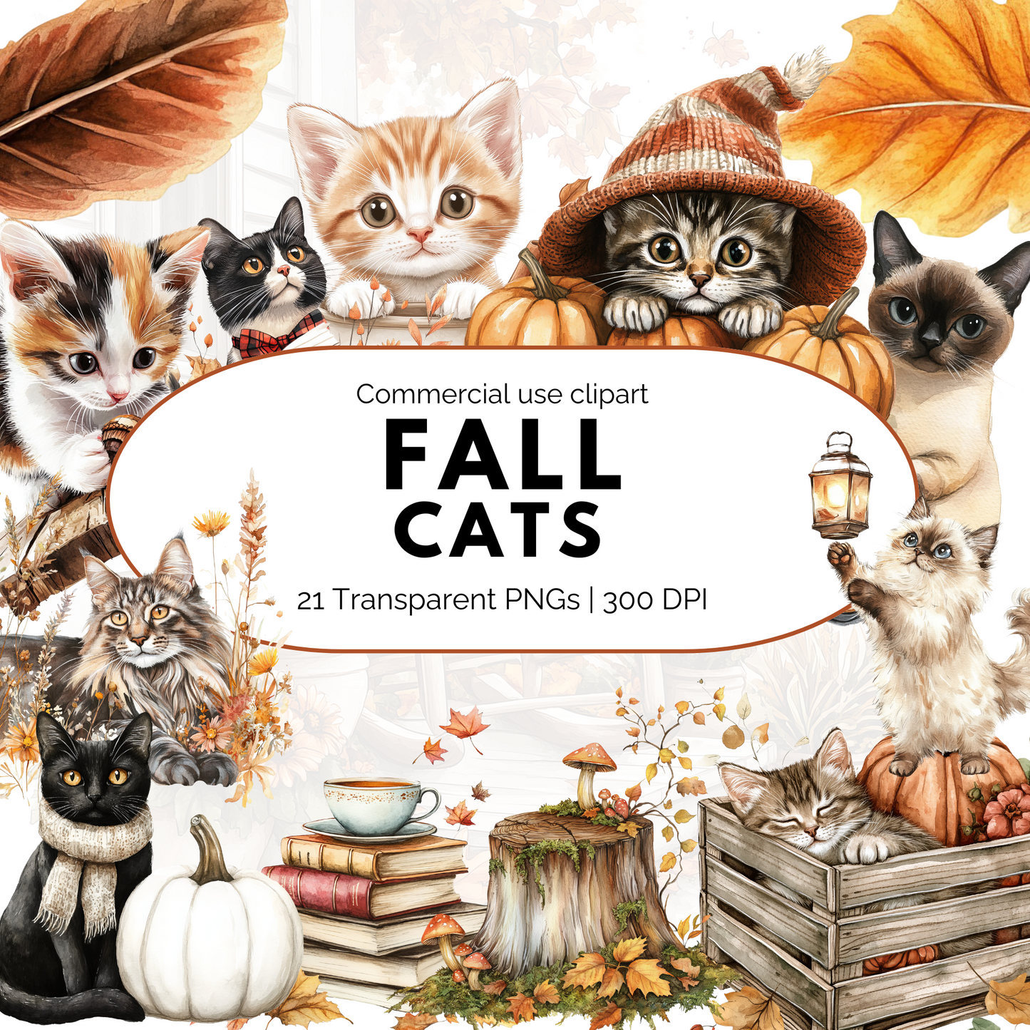 Fall Cat Clipart PNG, Autumn Halloween Cat Clip Art, Cute Black Cat Watercolor Bundle for Sublimation