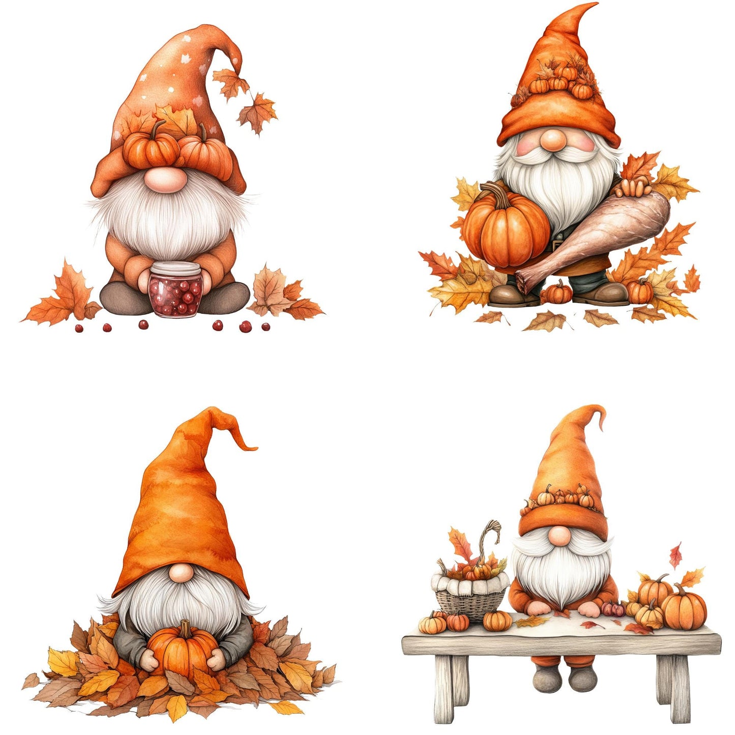 Thanksgiving Gnome Clipart