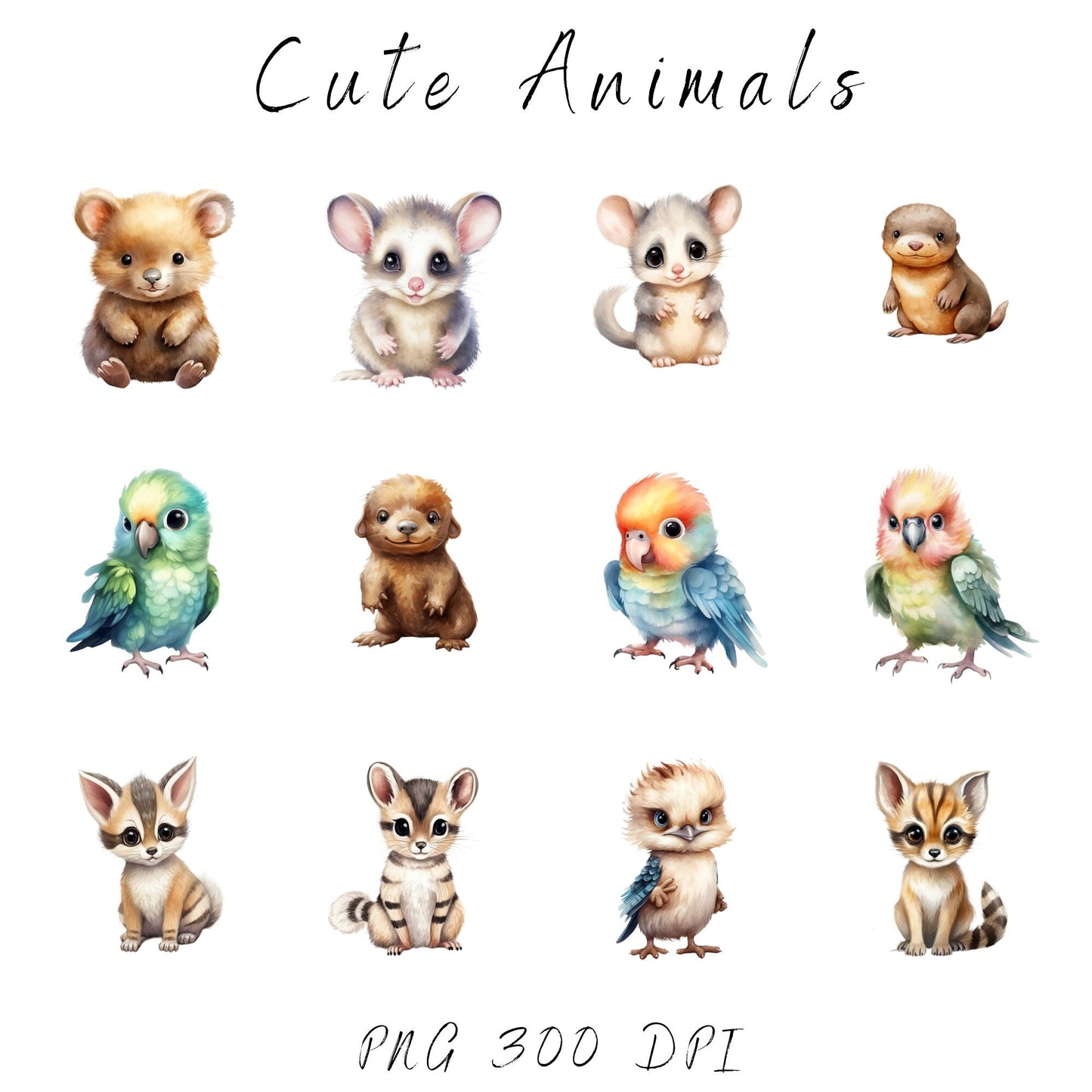 Baby Australian Animals Clipart