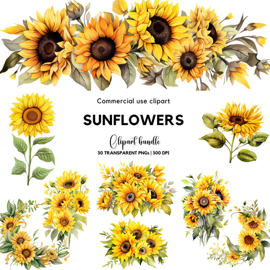 Clipart de girasol en acuarela