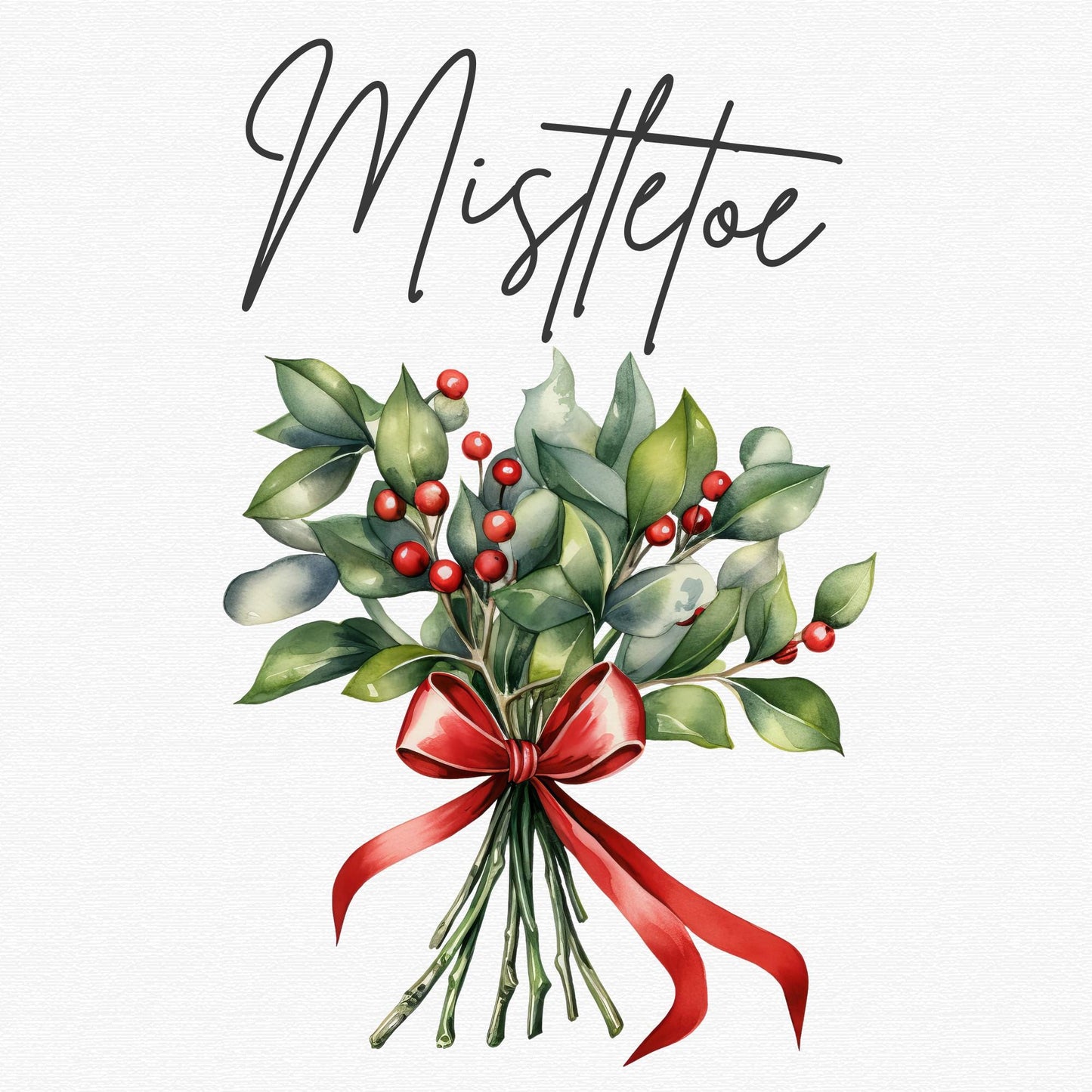 Watercolor Christmas Mistletoe Clipart Single