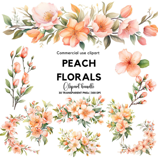 Clipart floral de melocotón en acuarela