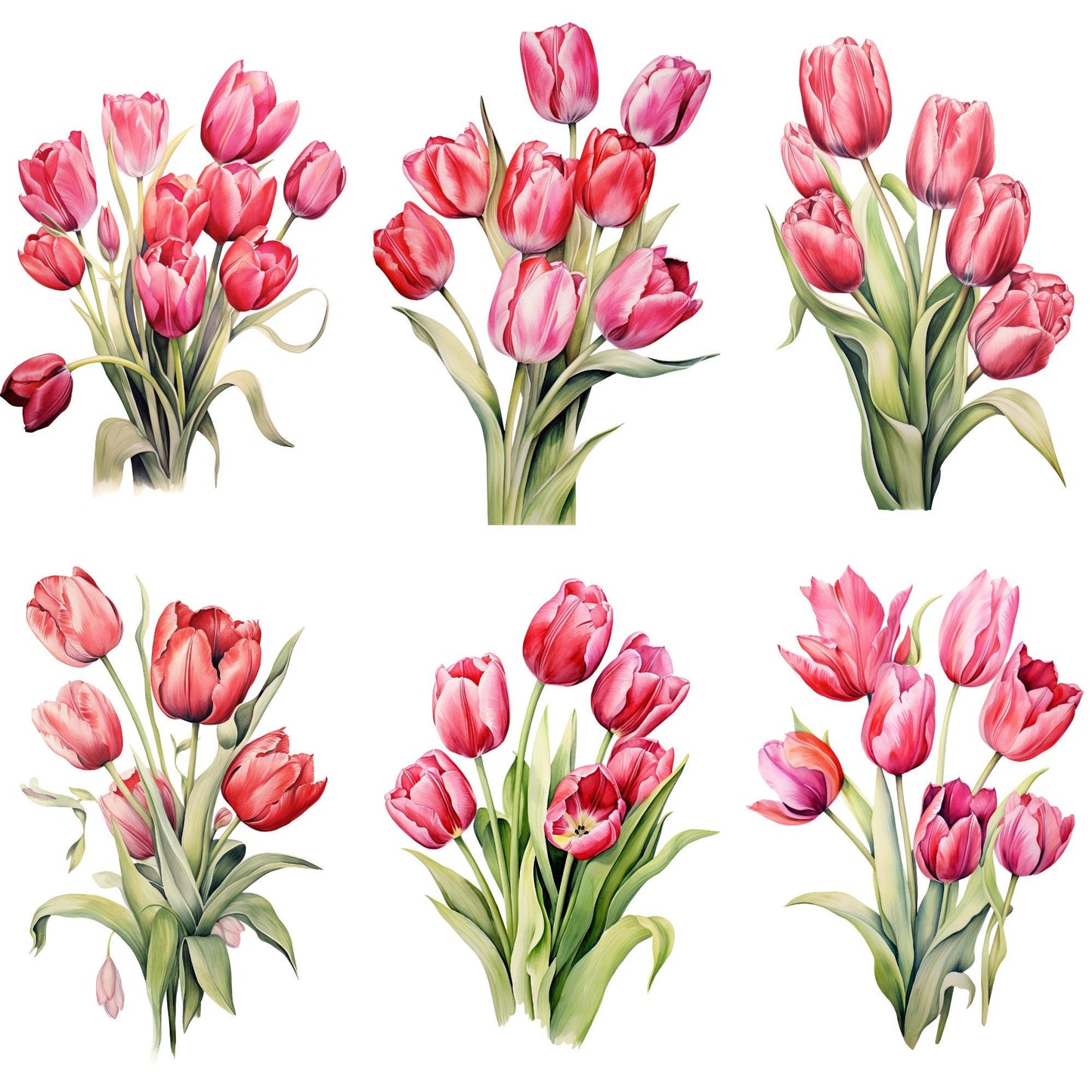 Red and Pink Tulip Clipart