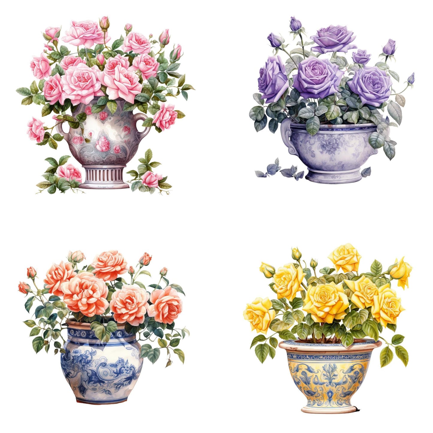 Watercolor Rose Bush Clipart