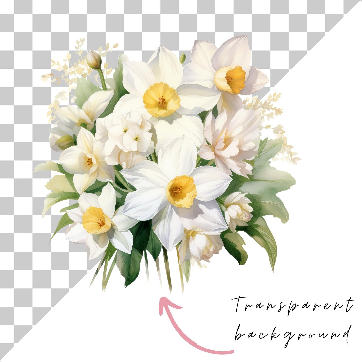 Clipart de narciso blanco