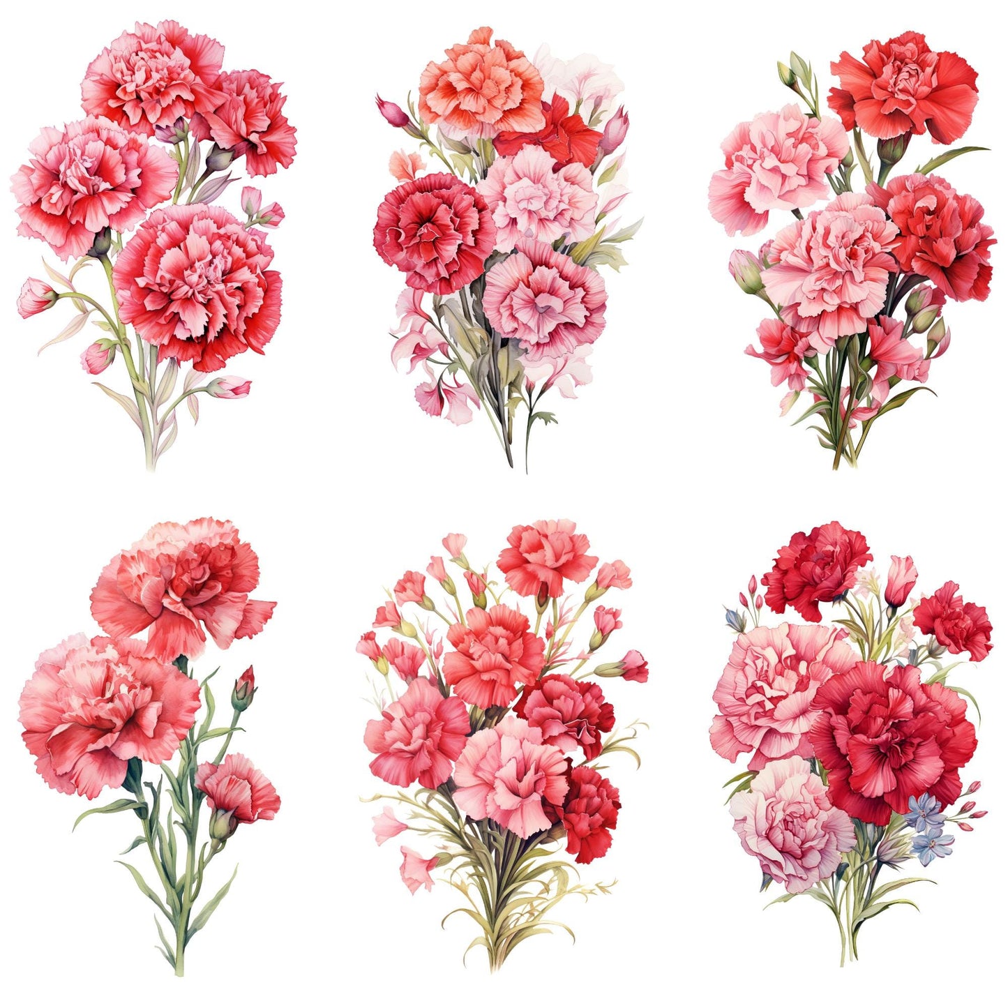 Clipart de clavel rojo y rosa